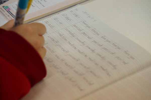 勉強がとても楽しくなり宿題などもとても楽しく出来るように!